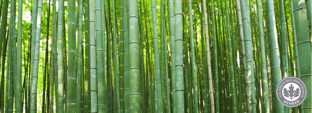 bamboo forest2 sustainable design